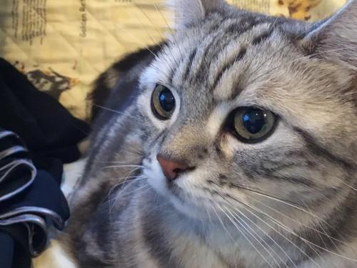 くぅ〜ちゃん画像